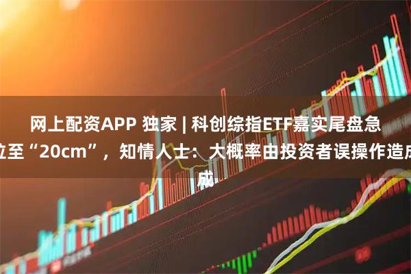 网上配资APP 独家 | 科创综指ETF嘉实尾盘急拉至“20cm”，知情人士：大概率由投资者误操作造成